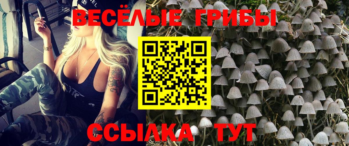 Псилоцибиновые грибы MAGIC MUSHROOMS  Вход с VPN  Новоалександровск 