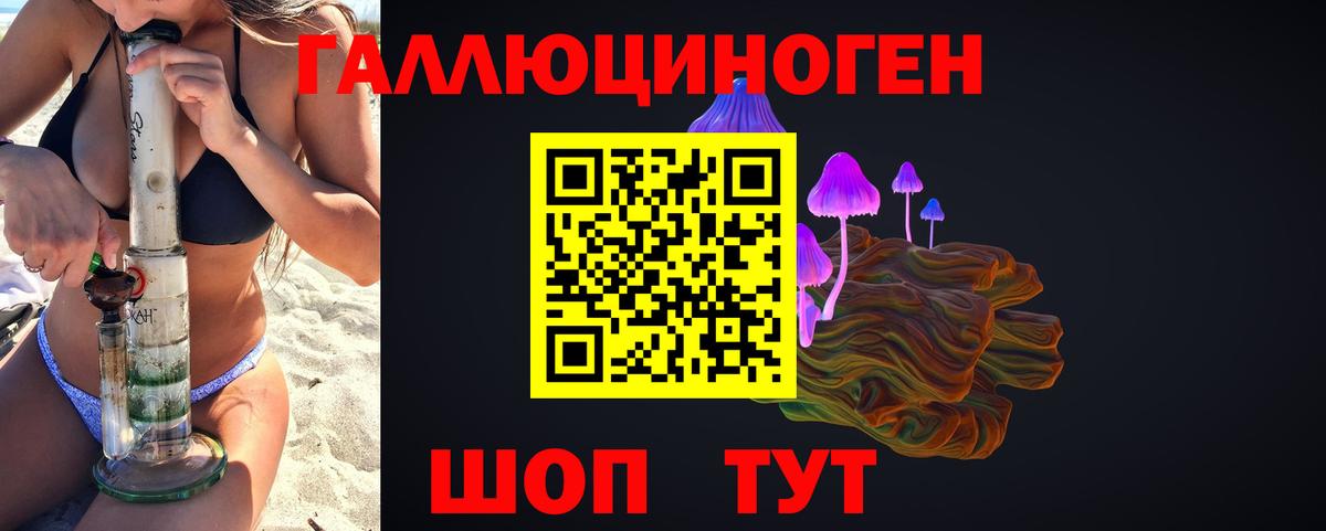 Псилоцибиновые грибы ЛСД Новоалександровск