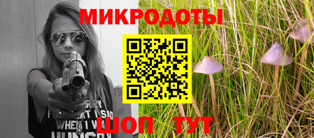Меф Новоалександровск